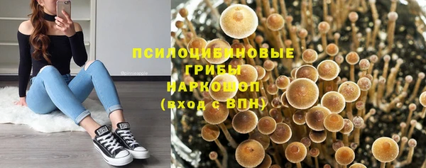 винт Покачи